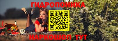 крисы Татарск