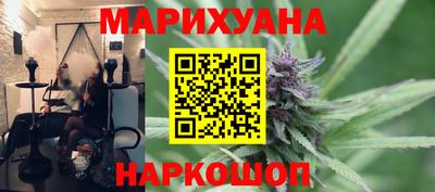 сатива Тверь